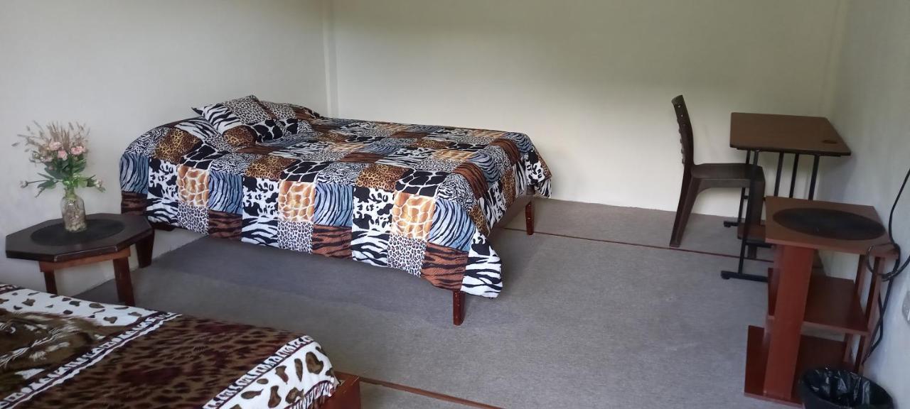 באניוס Montano Camping & Hostel מראה חיצוני תמונה